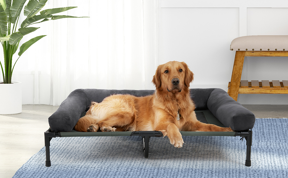 lit de camp pour chien sureleve surélevé dehoussable et lavable transat 40kg xxl 50kg pliable
