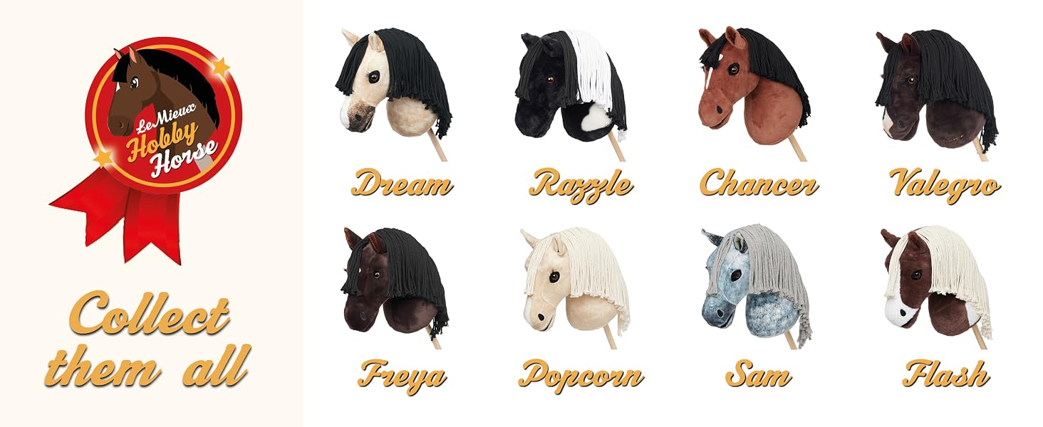 Collection of toy horse figurines with different breeds and colors. Names include Dream, Beagle, Charmer, Whippy, Paya, Popcorn, Sam, and Flash.