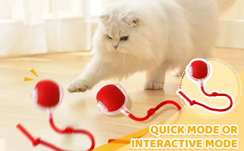 Für eine Katze mit roten Bällen an Schnüren. Weiße Katze nähert sich dem Spielzeug auf einem Holzboden. Die Textüberlagerung zeigt 