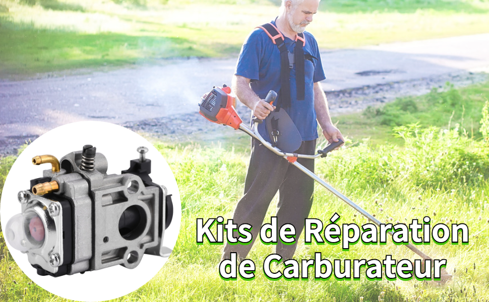 Carburateur Remplace