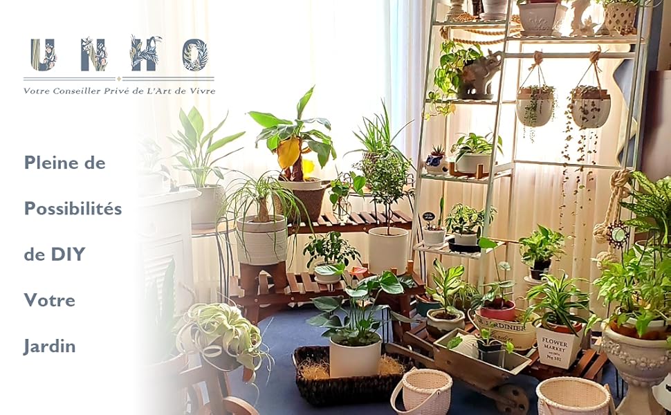 porte plantes