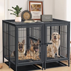 hundezwinger indoor
