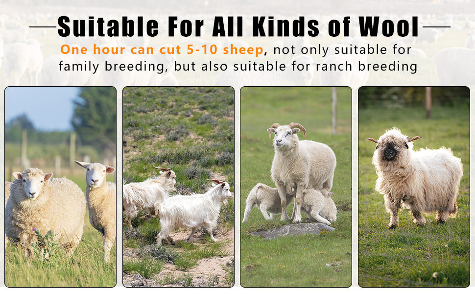 Animal Esquiladora de ovejas; Esquiladora de ovejas inalámbrica; Esquiladora de lana de oveja;