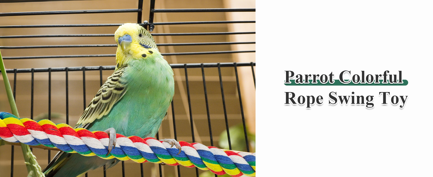 Green and yellow budgie perched on a colorful braided rope swing inside a wire cage. The swing is made of red, blue, and white twisted strands.