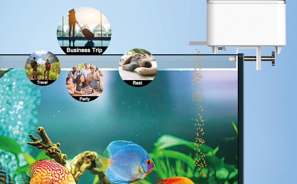 Aquarium Distributeur Automatique pour Poisson
