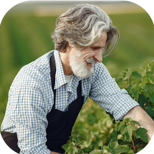 En cadeau pour les anciens