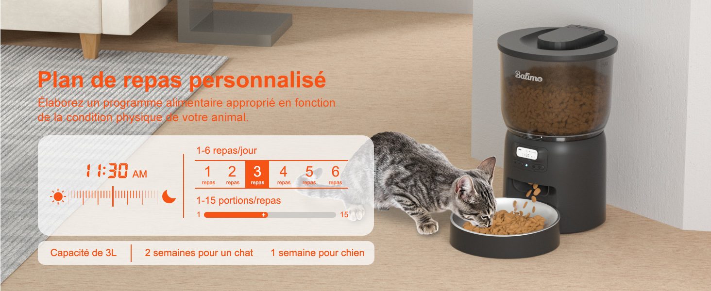 distributore automatico di cibo per gatti