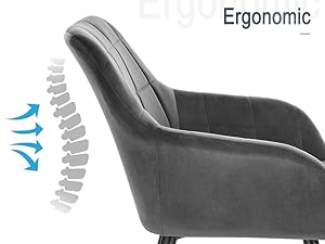 sedia ergonomica con schienale