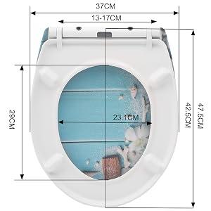 Toilet Seat
