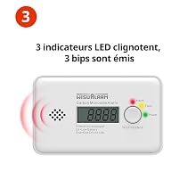 detecteur de monoxyde de carbone