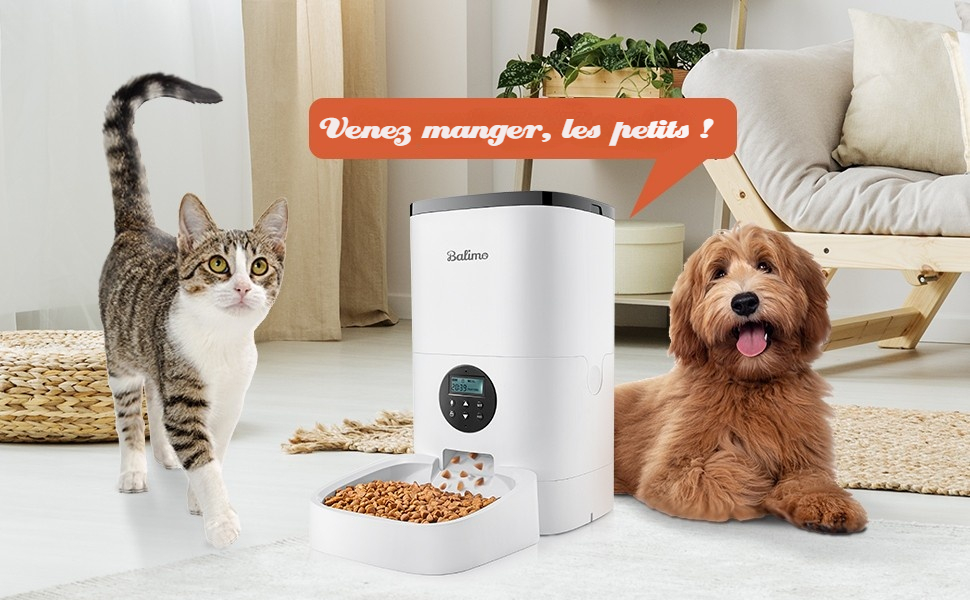 Distributeurs automatiques Timed