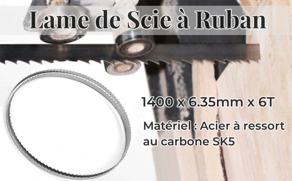 Lame de scie à ruban 1400x6.35mmx6T SK5