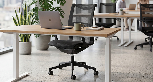 Espace de travail moderne comprenant un bureau en bois, un organiseur de bureau blanc, une petite plante en pot et une chaise de bureau ergonomique noire sur tapis gris.