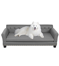 bingopaw sofa perro