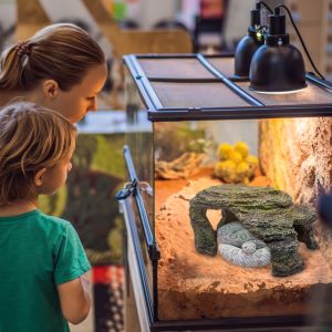 a woman and a child looking at an aquarium