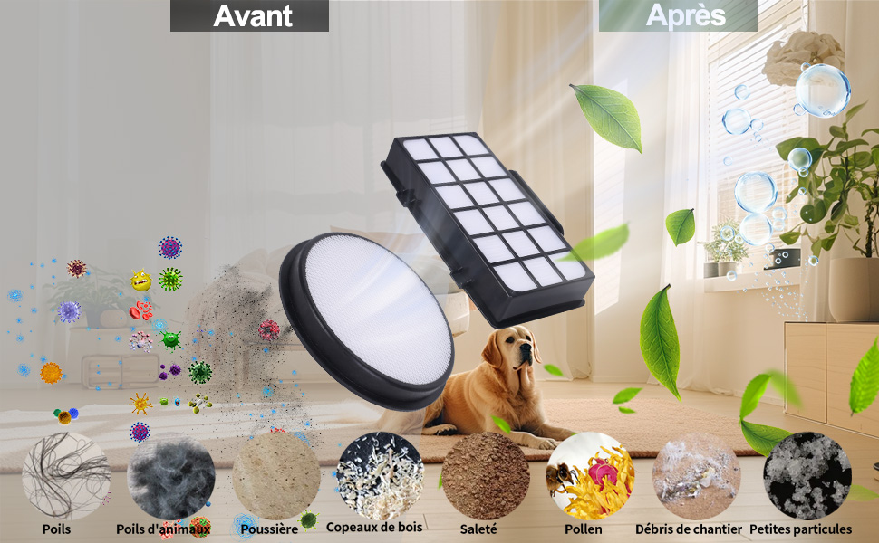 : avant et après utilisation. La gauche montre divers polluants, la droite montre l'air pur avec des plantes et un chien, démontrant l'efficacité du filtre.