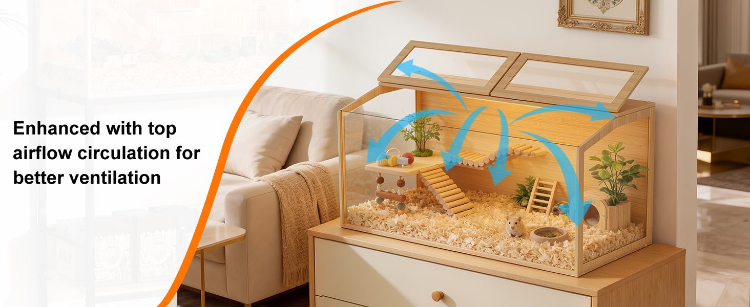 aplus content image