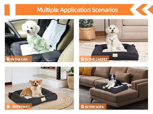BingoPaw Seggiolino Auto per Cane Trasportino
