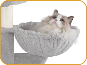 Grotte pour chat