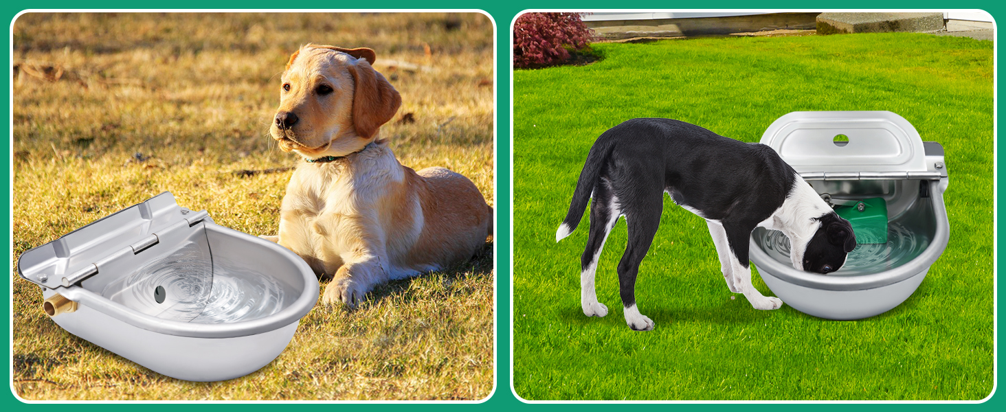 bebedero automático con calefacción para perros