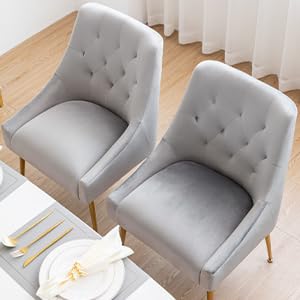 Chaise Salle a Manger Lot de 2, 4, 6, Chaise de Salle à Manger Velours, Chaise Fauteuil Salle Manger