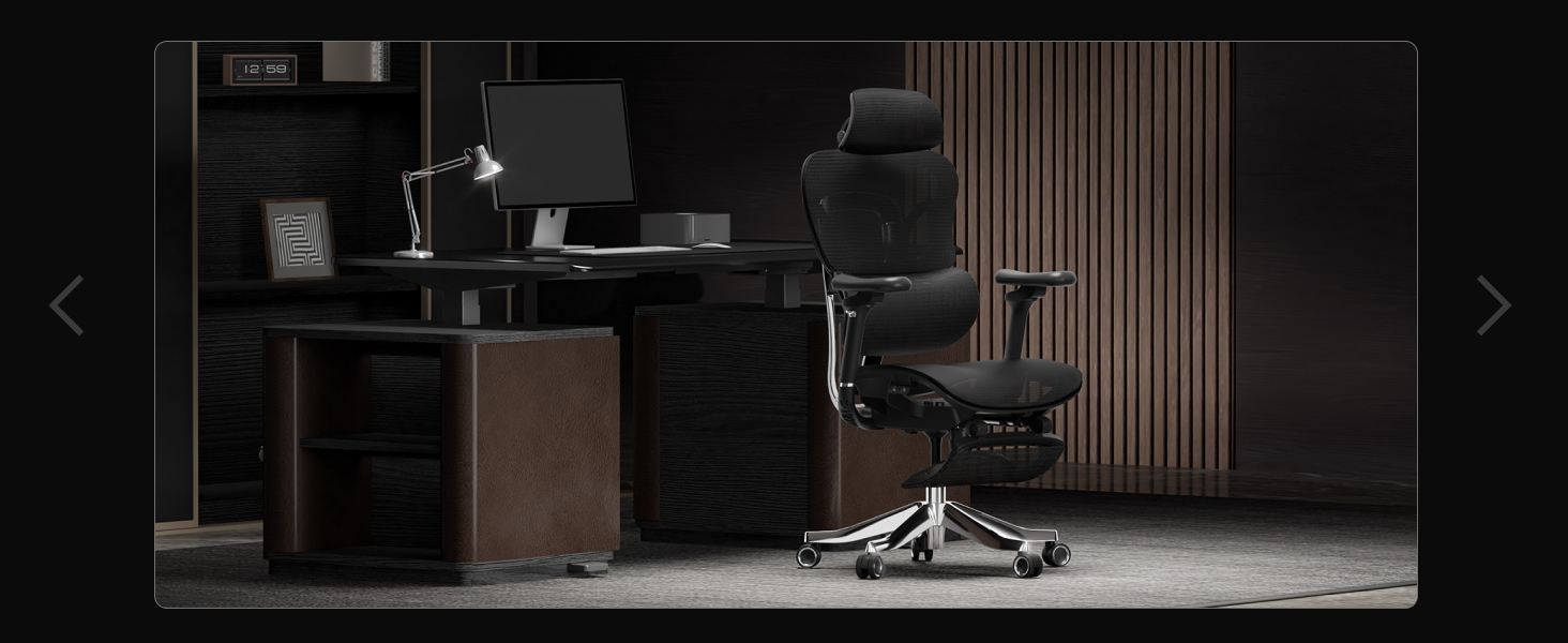 FlexiSpot ErgoX Max 9