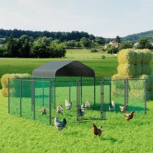recinto galline esterno gabbie per galline ovaiole pollaio gabbia per galline rete pollaio