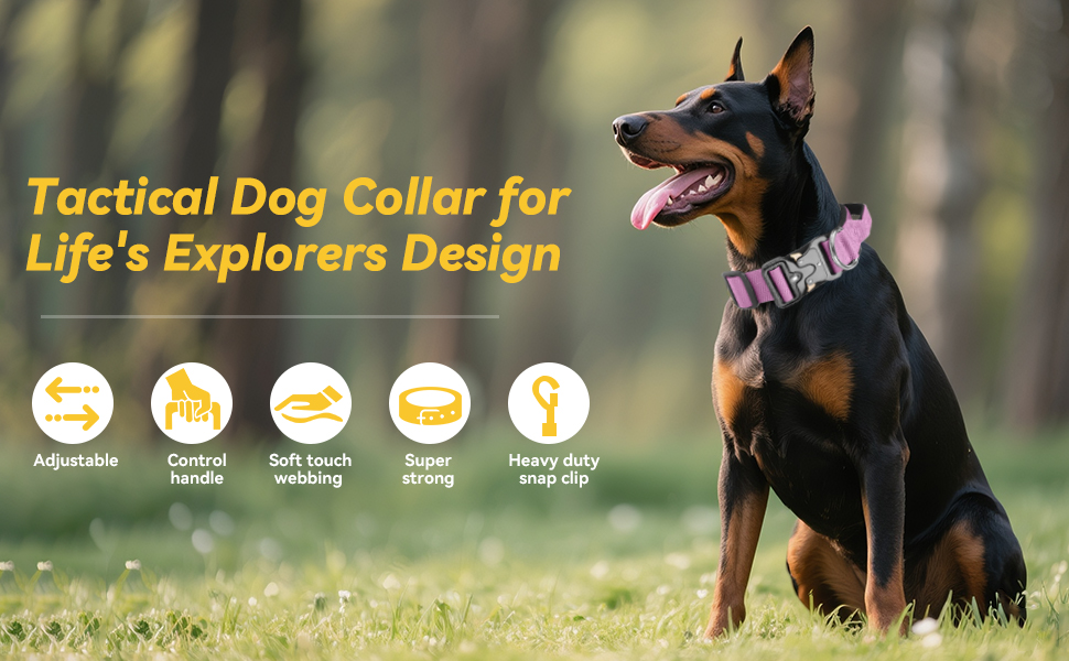 Il testo recita 'Collare tattico per cani per il design Life Explorer' con icone che ne illustrano le caratteristiche. Cane con collare raffigurato all'aperto.