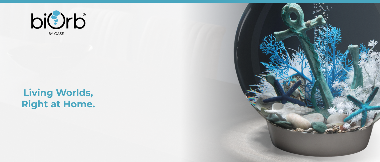 Text reads: 'biOrb' 'Living Worlds, Right at Home.' Illuminated aquarium with blue lighting and decorative elements against dark background.