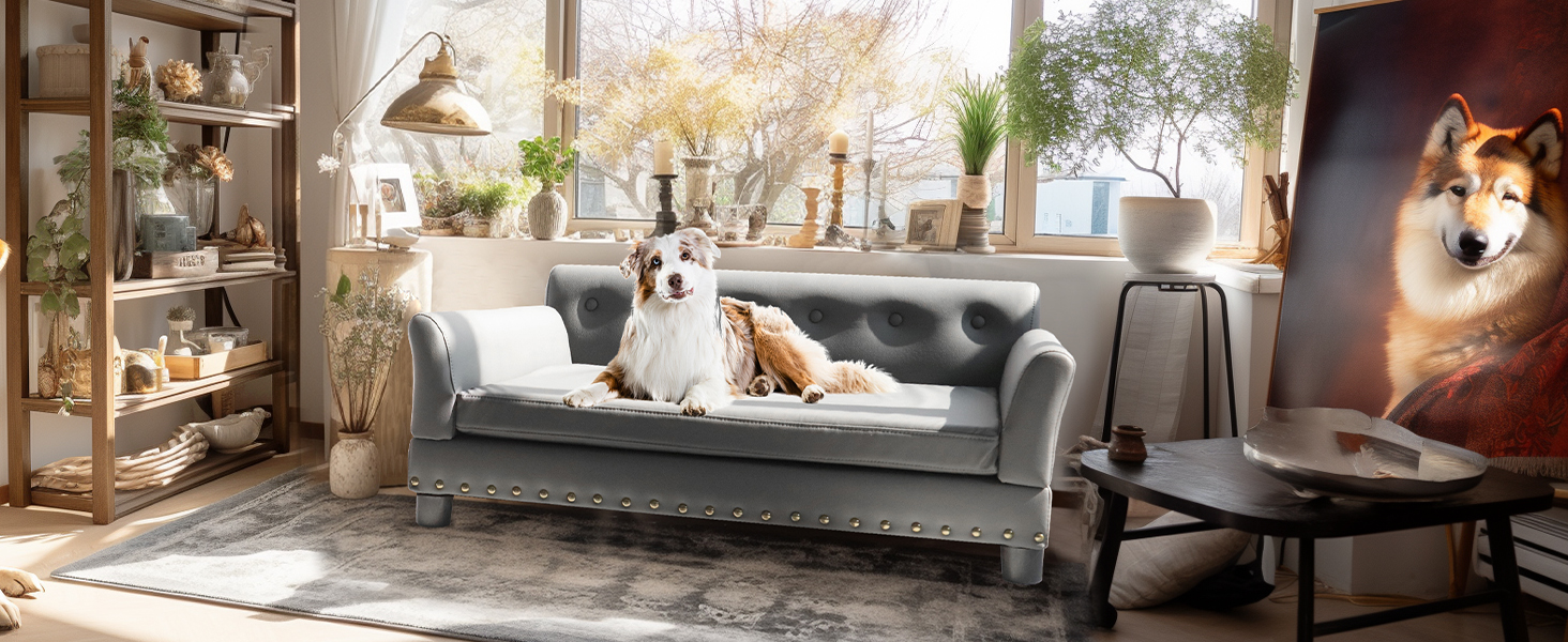 BINGOPAW sofa perro grande