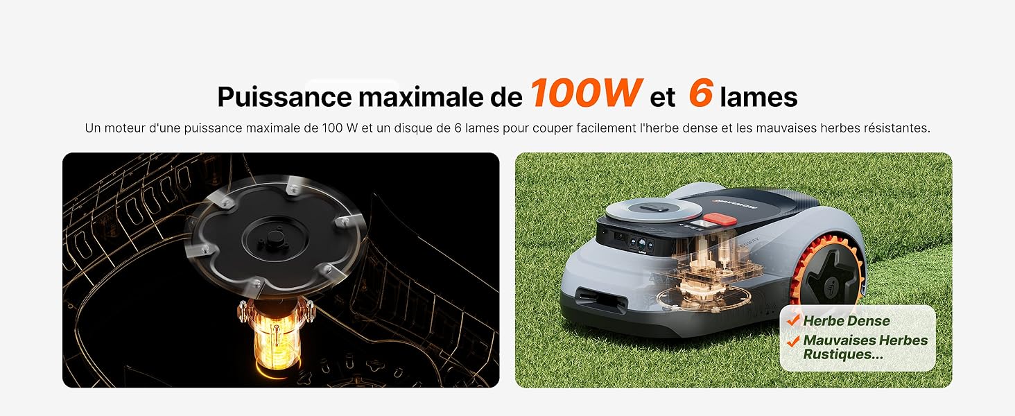 Le texte indique « 1000 W et 6 lamelles ». Séquence de démonstration du produit montrant un dispositif circulaire noir et les résultats de la tonte du gazon.