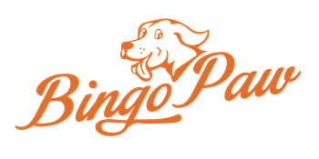 maison pour chat extérieur hiver interieur bois chauffant isolé niche chaud impermeable etanche