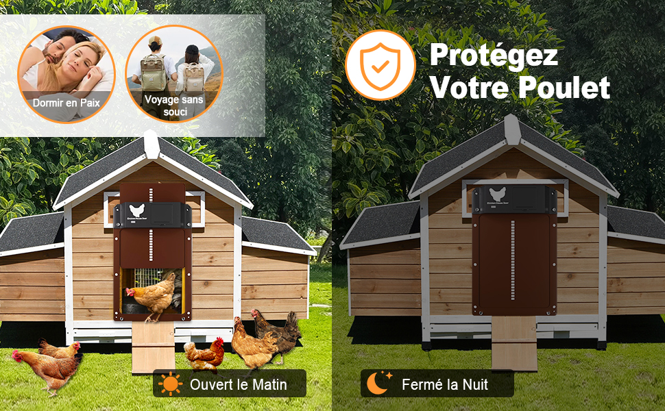 Automatic Chicken