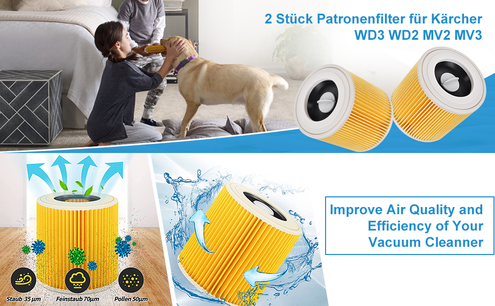le meilleur filtre à eau pour chiens