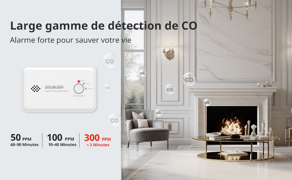 detecteur monoxyde de carbone