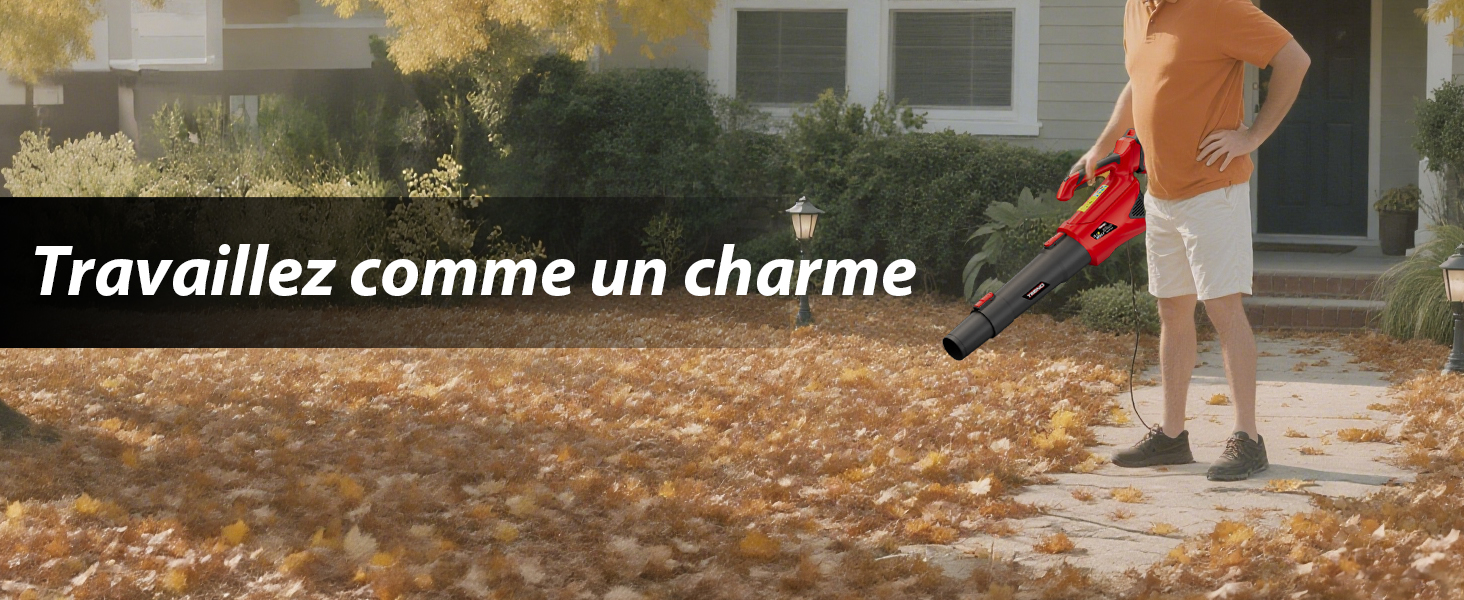 Souffleur de feuilles TEENO