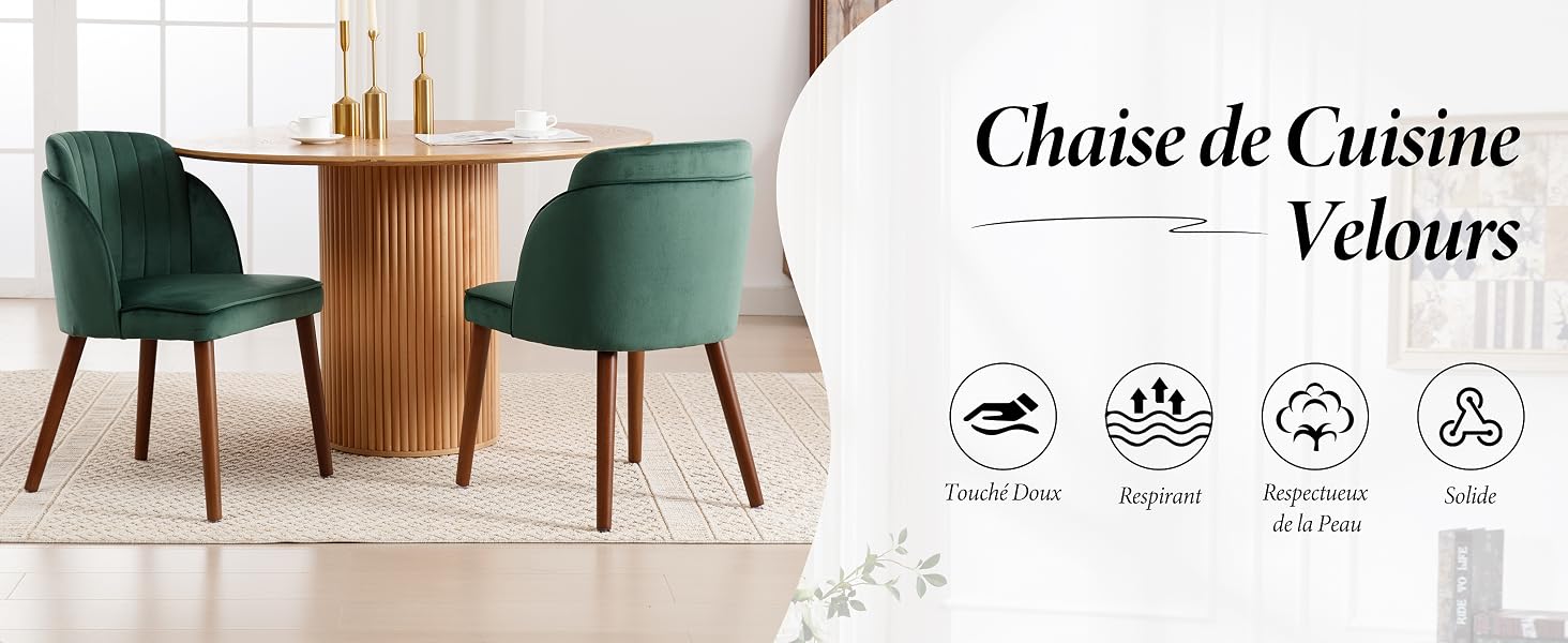 Chaise de Salle à Manger 