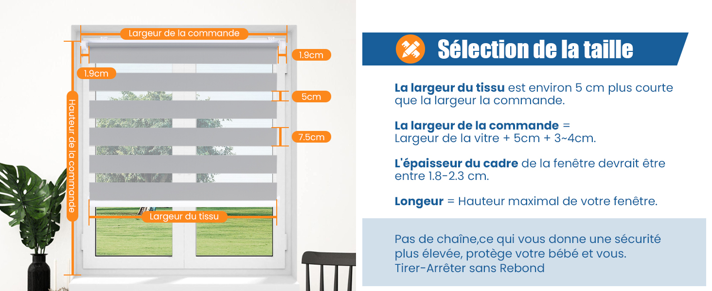 taille