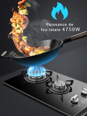 plaque cuisson gaz