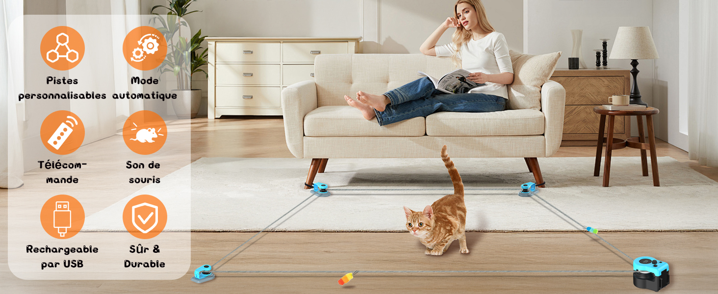 jouet chat
