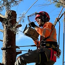 Ouvrier arboricole vêtu d'un équipement de sécurité orange et d'un casque, manœuvrant une tronçonneuse alors qu'il était attaché à un grand arbre sur fond de ciel bleu