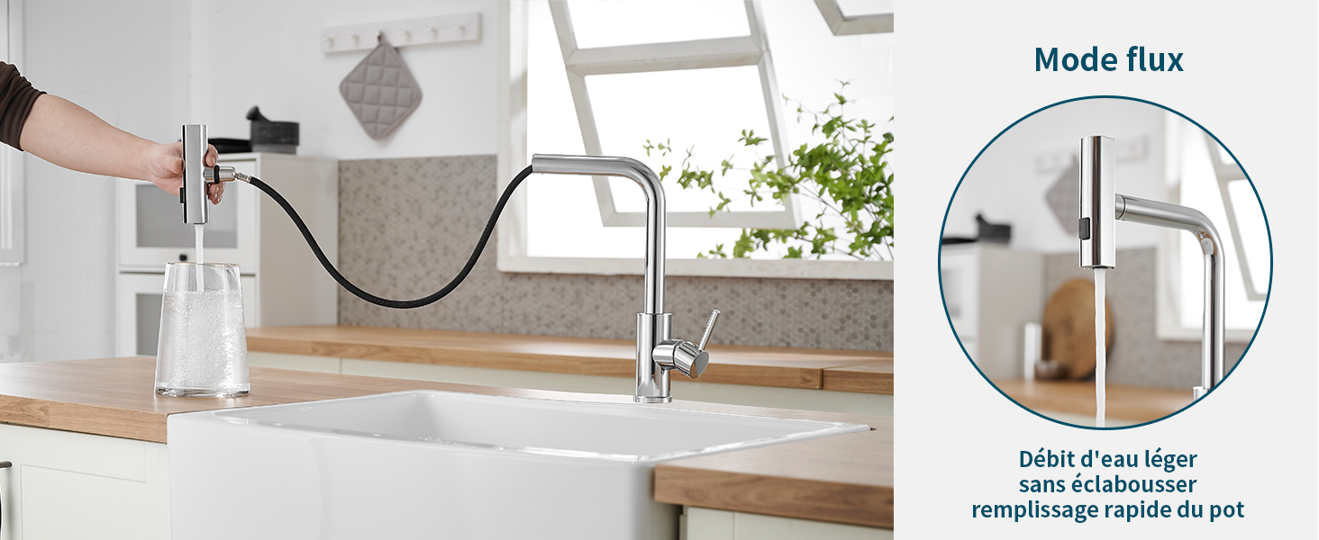 robinet cuisine douchette