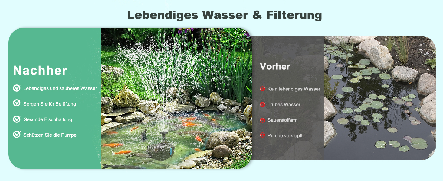 Wasser klarer und lebendiger