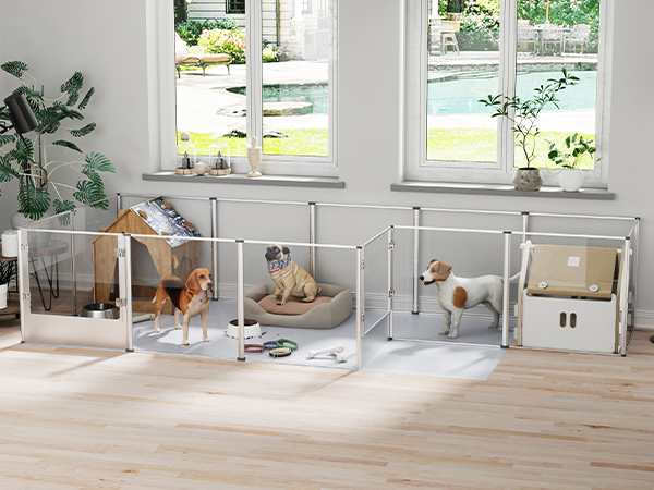 BingoPaw Recinto box Sala Parto per cane Acrilico