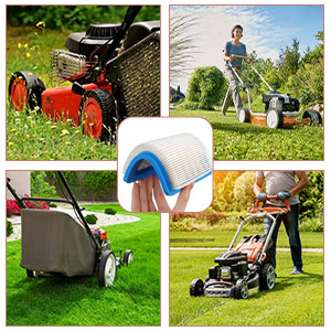 Luftfilter für Briggs & Stratton
