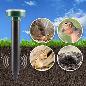 repellente per cani da esterno