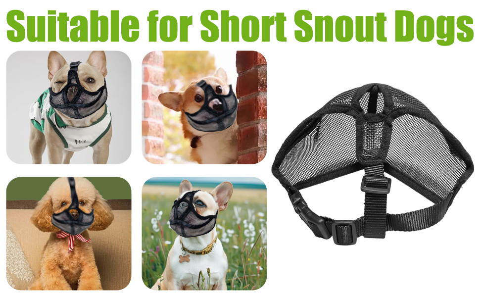 Dog harness for short-snouted breeds. Multiple images show harness on different dogs. Text indicates suitability for short snout dogs.