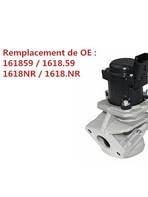 EGR Valve with Gasket 161859 1618NR