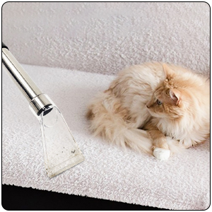 shampouineuse embout