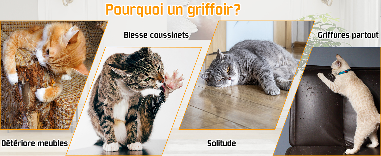 Immagine composita che mostra gatti che mostrano diversi comportamenti: graffiare i mobili, stiracchiarsi, sdraiarsi da soli e usare un tiragraffi. Il testo spiega i motivi per cui è necessario fornire un tiragraffi.
